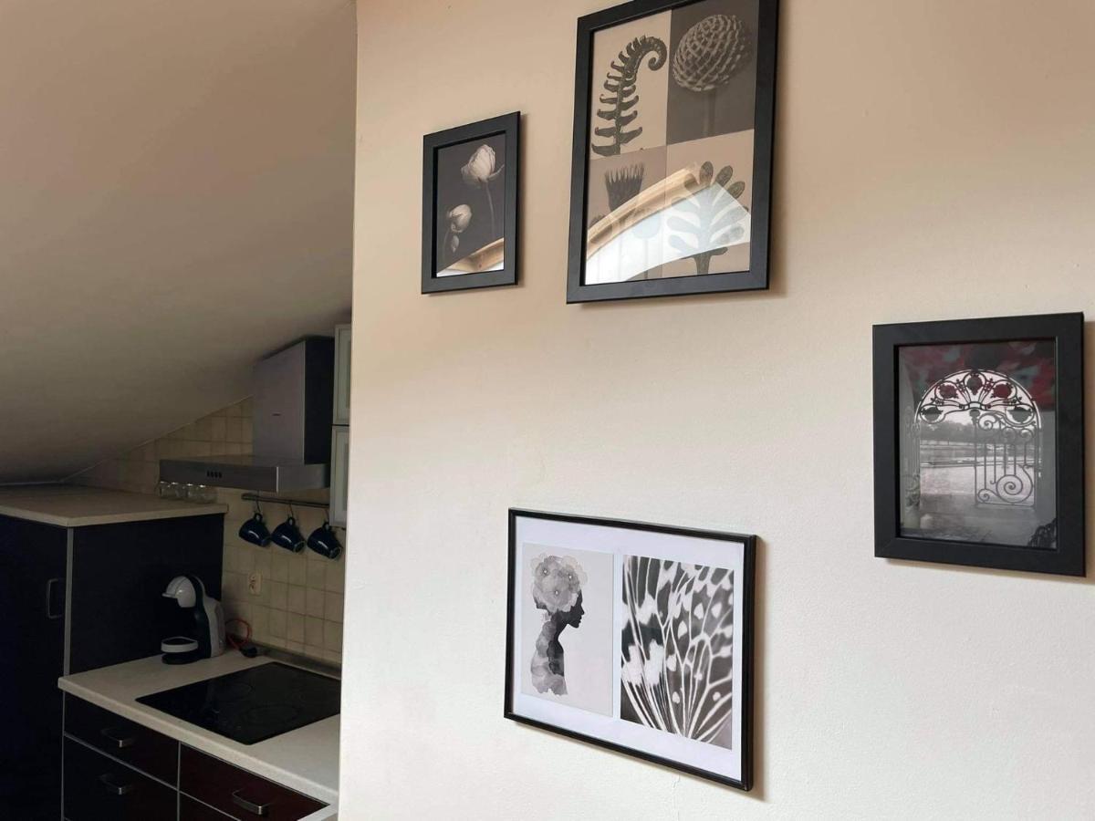 Apartament Studio Nałęczów מראה חיצוני תמונה